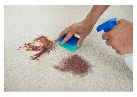 Drymaster Carpet Cleaning Brisbane - 2/2