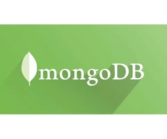 MongoDB Database Developers | MongoDB Database Development Services by Arkasoftwares