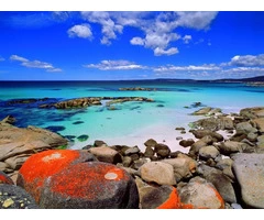 Need Corporate Travel Solutions for Your Company?