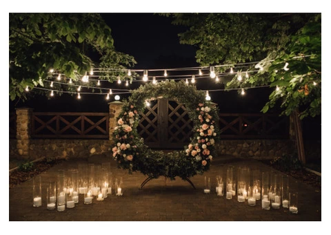 The Royal Event Planner and Decorator in Sydney that Adds Natural Flair to Interior Décor! - 6/6