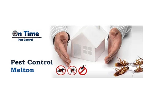 On Time Pest Control