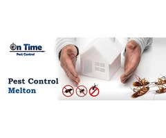 On Time Pest Control