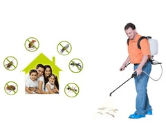 On Time  Pest control point cook