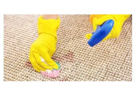 Carpet Cleaning North Hobart - 3/4