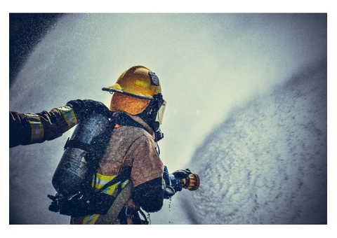 commercial mould remediation Australia,
