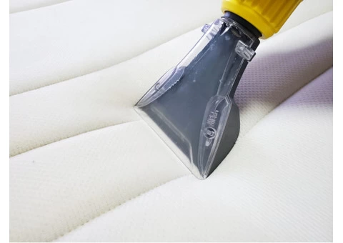 Tailored Bond Cleaning, Upholstery Cleaning & Pest Control in Gold Coast, Tweed Heads - 2/2