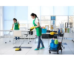 Upholstery cleaners brisbane