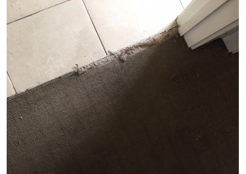 Carpet Cleaning Richmond - 1/3