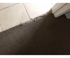 Carpet Cleaning Richmond