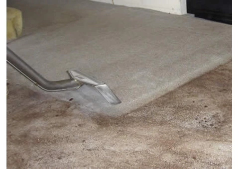 Carpet Cleaning Margate - 3/5