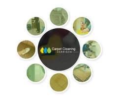Carpet Cleaning Harrison