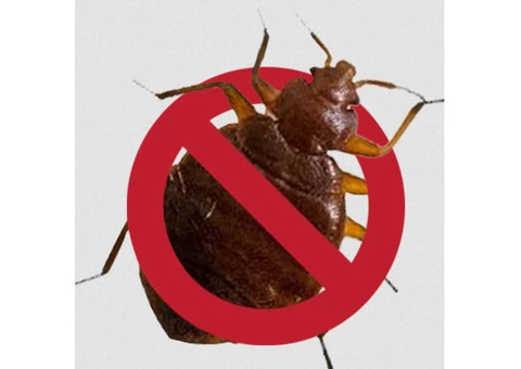 Pest Control Kellyville - Bug Free Pest Control - 1/3
