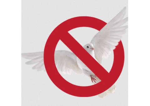 Pest Control Kellyville - Bug Free Pest Control - 2/3