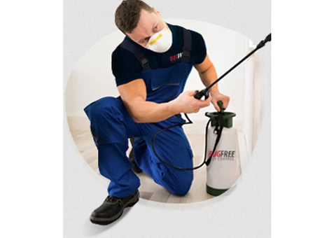 Pest Control Kellyville - Bug Free Pest Control - 3/3