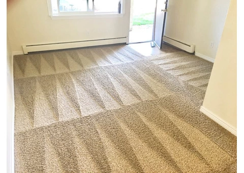 Carpet Cleaning Lenah Valley - 3/4