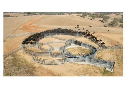 Cattle Handling Equipment