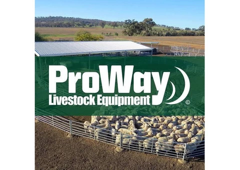 Cattle Handling Equipment - 2/2