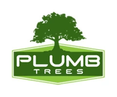 Stump removal Bexley | Plumb Trees