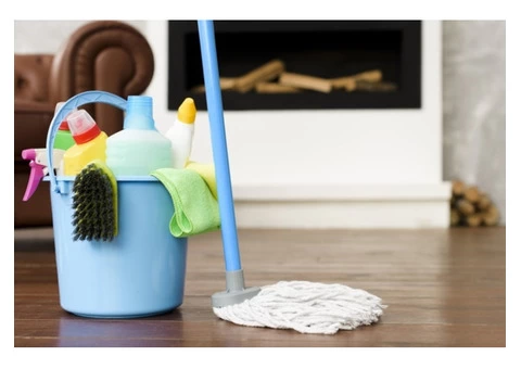 Are You Searching for a Carpet Cleaning Solution?