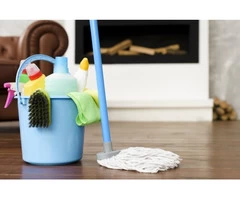 Are You Searching for a Carpet Cleaning Solution?