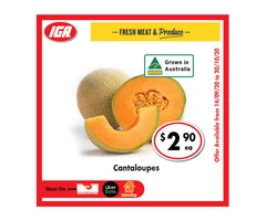 Cantaloupes - Grocery Item, IGA Ravenswood