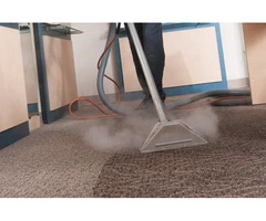 Carpet Steam Cleaning