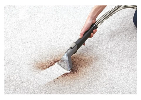 Carpet Stain Removal