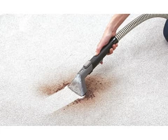 Carpet Stain Removal