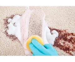 Carpet Stain Removal