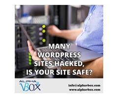 Sneaker Server And Proxies