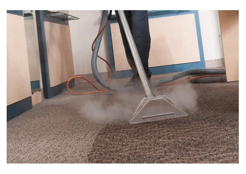 Carpet Steam Cleaning