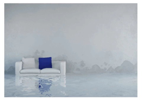 Rug Cleaning Brisbane - 1300136365