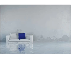 Rug Cleaning Brisbane - 1300136365