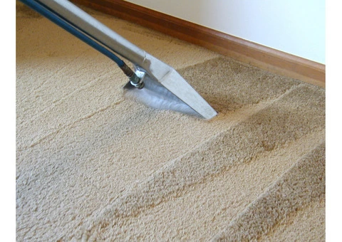 Wet Carpet Drying