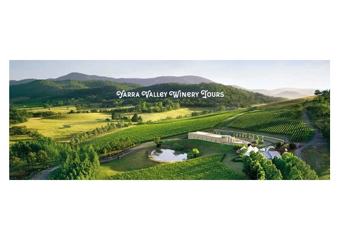 Hire Affordable Yarra Valley Wine Tours Services