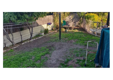 Little re-turfing job - Rogers Little Loaders