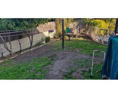 Little re-turfing job - Rogers Little Loaders