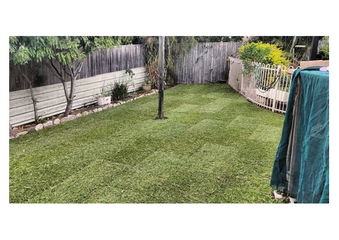 Little re-turfing job - Rogers Little Loaders - 2/2