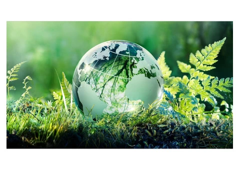 Exhibit Your Environmental Commitment with ISO 14001 Certification