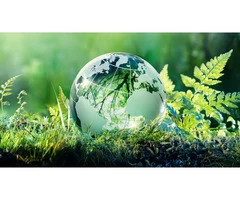 Exhibit Your Environmental Commitment with ISO 14001 Certification