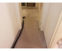 Water Damage Carpet Restoration