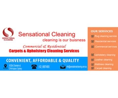 Best carpet cleaner eastern suburbs
