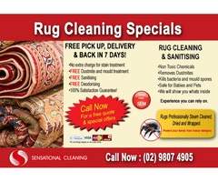 Rug cleaning pickup and delivery near me