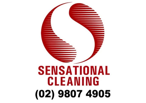 Rug cleaning companies - 1/5