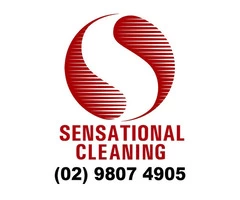 Rug cleaning companies