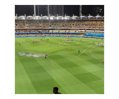 Wish I could say I laid that turf but I'll just marvel at it - Frontyard - Rogers Little Loaders