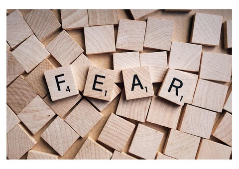 Best Fear of spider Sydney - 1/4