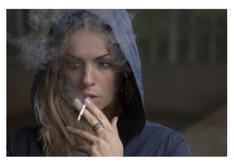 Best Fear of spider Sydney - 4/4