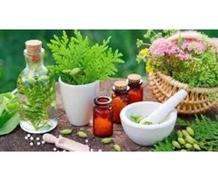 Contact Us To Benefit From The Best Nutrition Consultants