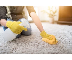 Carpet Stain Removal in Wyndham vale